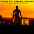 Brother Ape - A Rare Moment of Insight