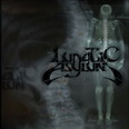 Lunatic Asylum