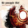 the Pineapple Thief - Tightly  Untold