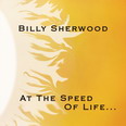 Billy Sherwoos - At the Speed of Life...