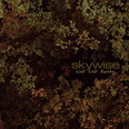 Skywise - Cold Cold Earth