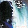 Bruce Turgon