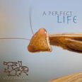 Vicolo Margana - A Perfect Life