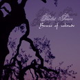 Violet Tears - Breeze of Solitude